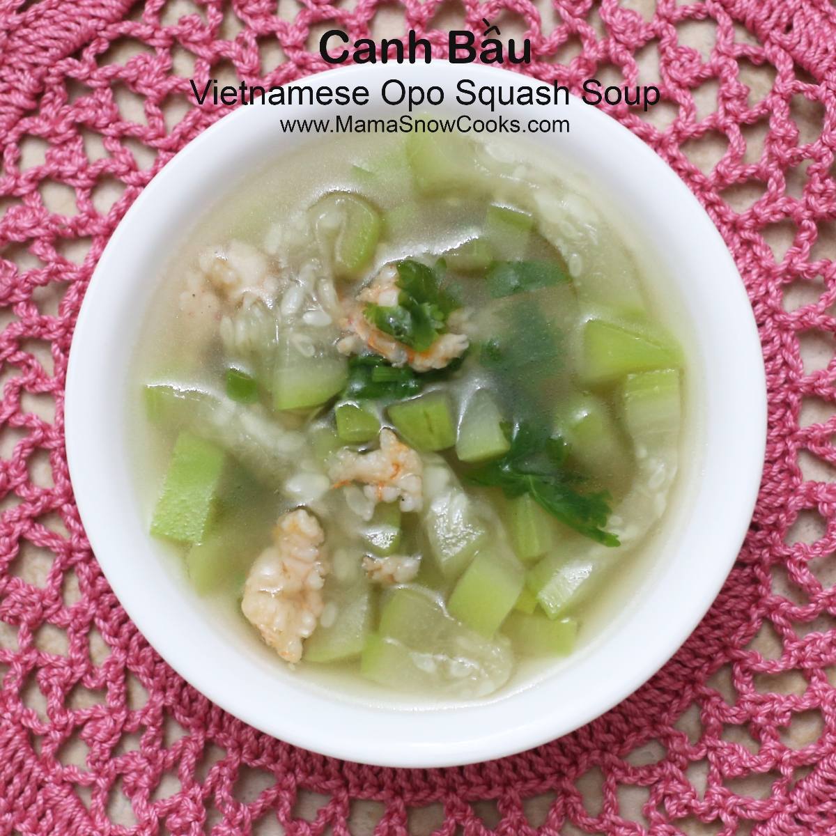 Vietnamese Opo Squash Soup Canh Bau Mama Snow Cooks and More